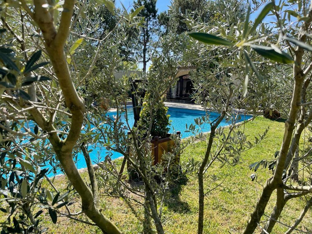 Gite Au Coeur De La Provence & Spa แซ็งต์-กันนาต์ ภายนอก รูปภาพ