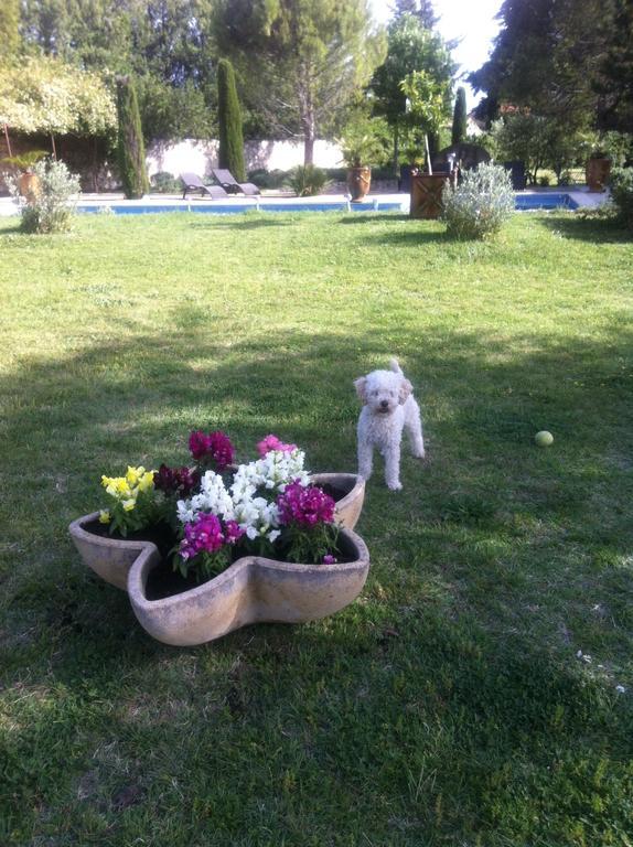 Gite Au Coeur De La Provence & Spa แซ็งต์-กันนาต์ ห้อง รูปภาพ